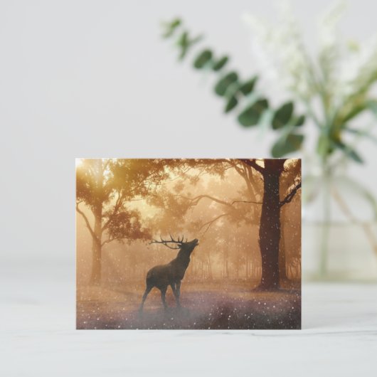 Carte Postale La Forêt (Debout devant)