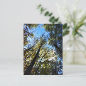 Carte Postale La forêt d'automne (Debout devant)