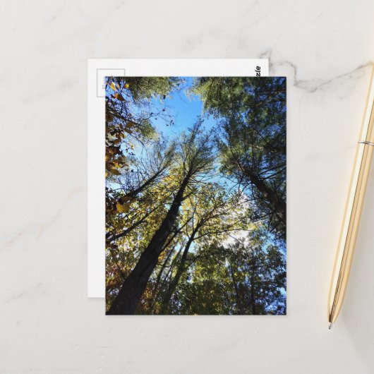 Carte Postale La forêt d'automne (Devant/Arrière en situation)