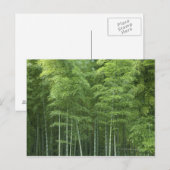 Carte Postale La forêt de Bamboo (Devant / Derrière)