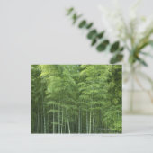 Carte Postale La forêt de Bamboo (Debout devant)