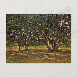 Carte Postale La forêt de Fontainebleau