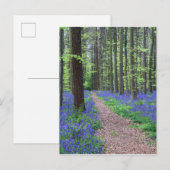 Carte Postale La forêt de Halle | Halle, Belgique (Devant / Derrière)