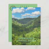 Carte Postale La forêt nationale Daniel Boone surplombe le Kentu (Devant / Derrière)