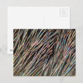 Carte Postale La forme du parfum : cristaux de coumarine (Devant / Derrière)