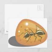 Carte Postale La fourmi à Amber (Devant / Derrière)