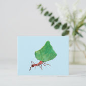Carte Postale La fourmi portant une grosse feuille (Debout devant)