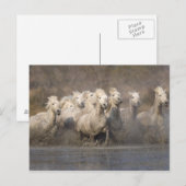 Carte Postale La France, Provence. Fonctionnement blanc de (Devant / Derrière)