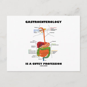 Carte Postale La Gastroentérologie Est Une Profession Goutte