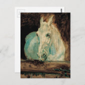 Carte Postale La gazelle de cheval blanc - Henri (Devant / Derrière)