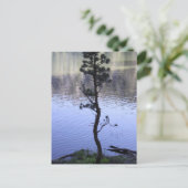 Carte Postale La gentillesse compte (Debout devant)