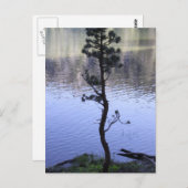 Carte Postale La gentillesse compte (Devant / Derrière)