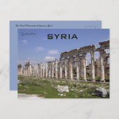 Carte Postale La Grande Colonnade à Apamea Syrie (Devant / Derrière)