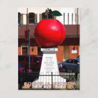 LA GRANDE POMME ROUGE - Cornelia, Géorgie