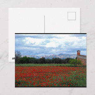 Carte Postale La grange de campagne dans le champ de coquelicots