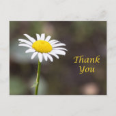 Carte Postale La gratitude fleurit : Un merci de marguerite sauv (Devant)