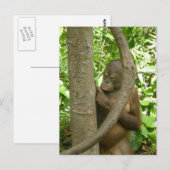 Carte Postale La gravure de mon nom dans un arbre (Devant / Derrière)