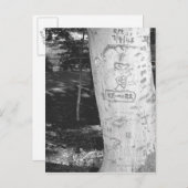 Carte Postale La gravure sur le tronc de bouleau B&W (Devant / Derrière)