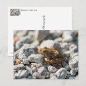 Carte Postale La grenouille de cricket de Blanchard (Devant / Derrière)