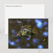 Carte Postale La grenouille de Melissa (Devant / Derrière)