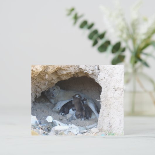 Carte Postale La Grotte (Debout devant)