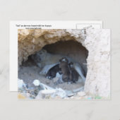 Carte Postale La Grotte (Devant / Derrière)