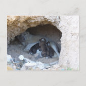 Carte Postale La Grotte (Devant)