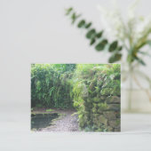 Carte Postale La Grotte de l'étang (Debout devant)