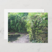 Carte Postale La Grotte de l'étang (Devant / Derrière)