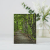 Carte Postale La Grove sacrée en été (Debout devant)