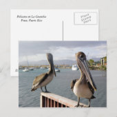 Carte Postale La Guancha en Ponce (Devant / Derrière)