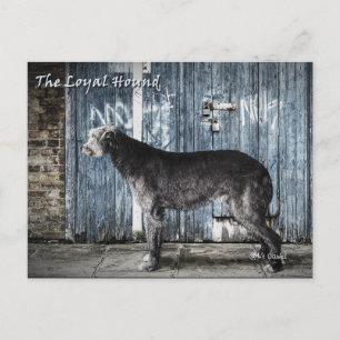 Carte Postale La hache loyale