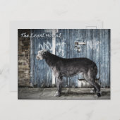 Carte Postale La hache loyale (Devant / Derrière)