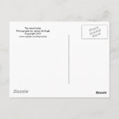 Carte Postale La haine folle (Dos)