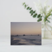 Carte Postale La jetée au coucher du soleil (Debout devant)