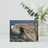 Carte Postale La Jolla (Debout devant)