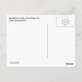 Carte Postale La Jolla (Dos)