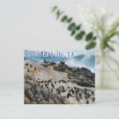 Carte postale La Jolla California (Debout devant)