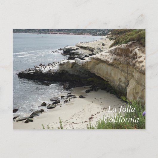 Carte Postale La Jolla Cove en Californie (Devant)
