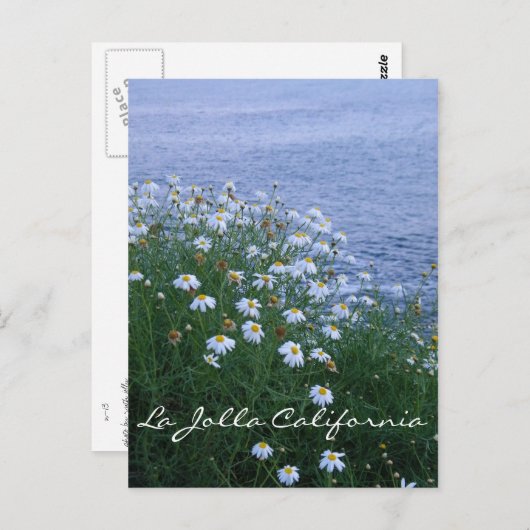 Carte Postale La Jolla Fleurs et océan (Devant / Derrière)