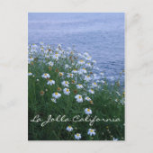Carte Postale La Jolla Fleurs et océan (Devant)