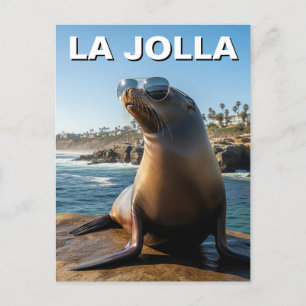 Carte Postale La Jolla Sea Lion Californie Voyage