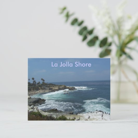 Carte Postale La Jolla Shore (Debout devant)