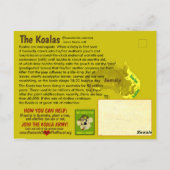 Carte Postale LA KOALA (Ours) est en danger, lisez ceci : - (Dos)
