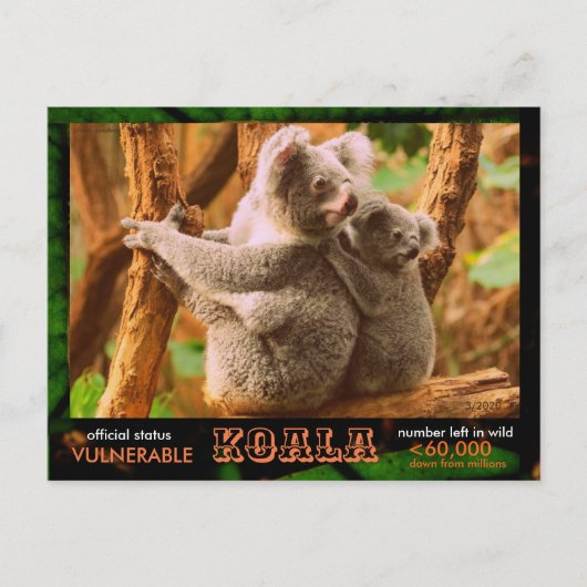 Carte Postale LA KOALA (Ours) est en danger, lisez ceci : - (Devant)