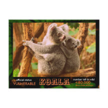 LA KOALA (Ours) est en danger, lisez ceci :  -