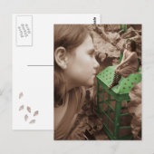 Carte Postale La lanterne verte. (Devant / Derrière)