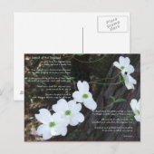 Carte Postale La Légende du Dogwood (Devant / Derrière)