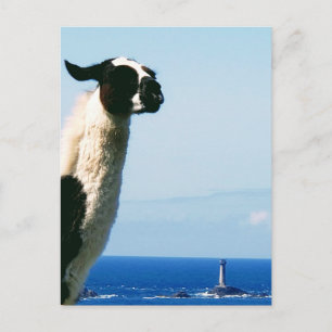 Carte Postale La Llama et le phare, Terres End, Cornouailles.