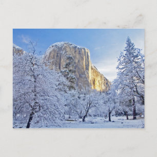 Carte Postale La lumière du lever du soleil frappe El Capitan à 